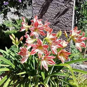 https://casa-romeo-adrano.sicilyhotelsitaly.net